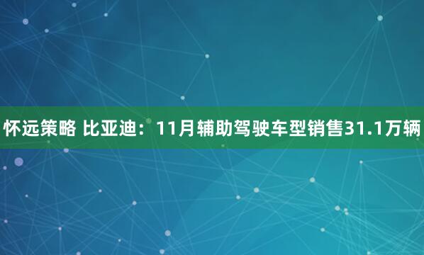 怀远策略 比亚迪：11月辅助驾驶车型销售31.1万辆