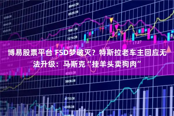 博易股票平台 FSD梦破灭？特斯拉老车主回应无法升级：马斯克“挂羊头卖狗肉”